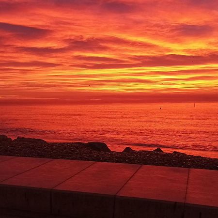 Bel Appartement Les Pieds Dans L'Eau Villeneuve-Loubet Εξωτερικό φωτογραφία