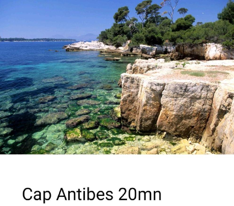 Bel Appartement Les Pieds Dans L'Eau Villeneuve-Loubet Εξωτερικό φωτογραφία