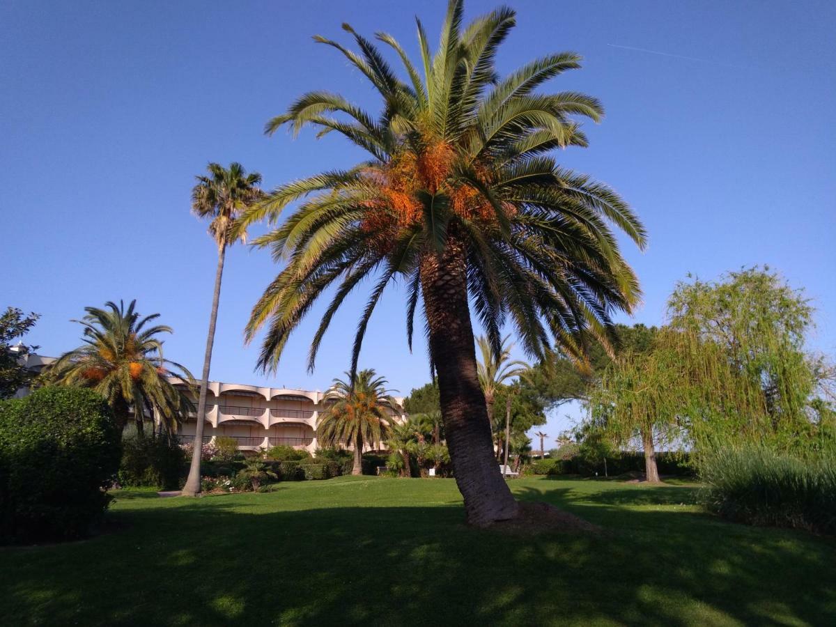 Bel Appartement Les Pieds Dans L'Eau Villeneuve-Loubet Εξωτερικό φωτογραφία